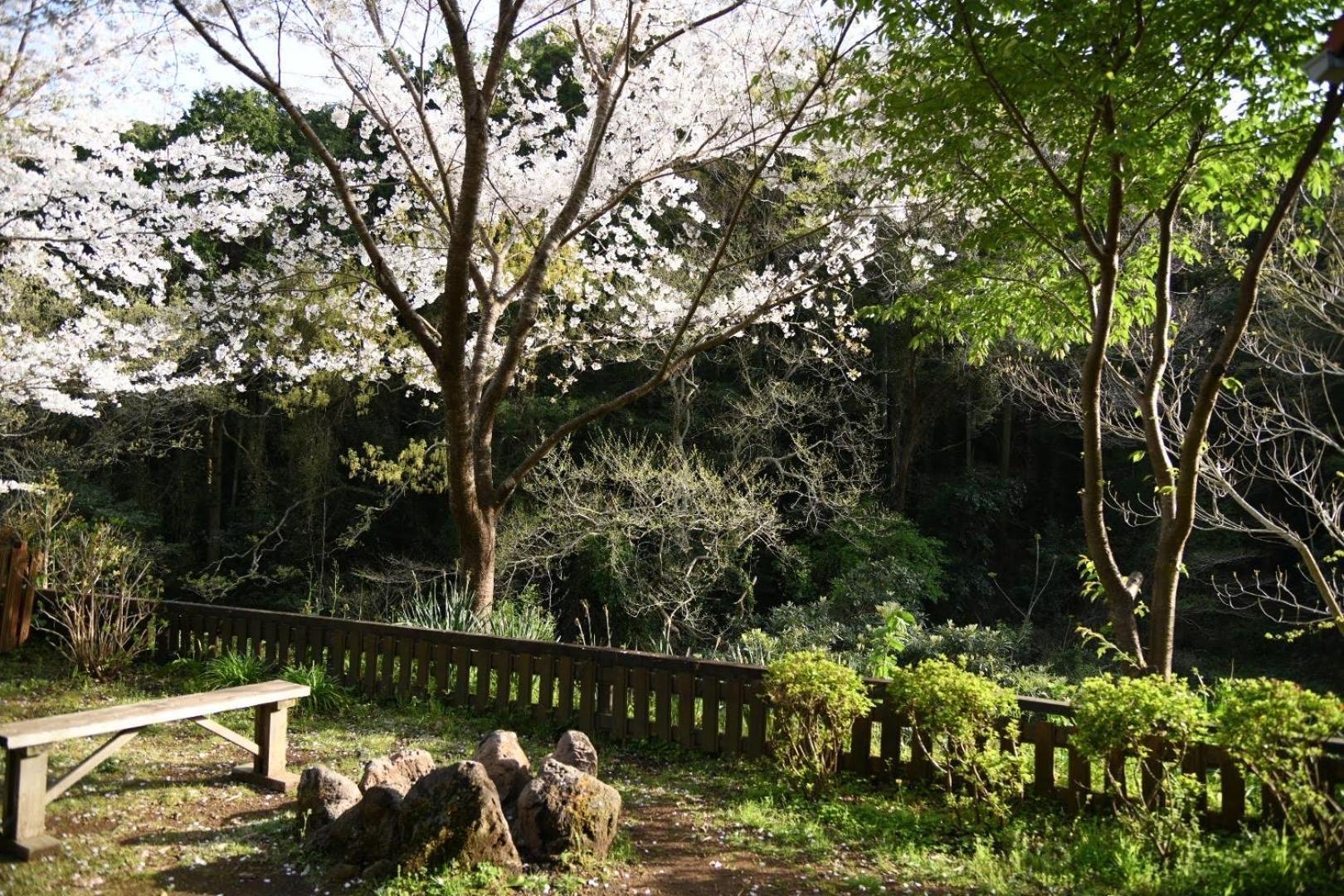 Sunny Side Cottage Shimoda  Luaran gambar