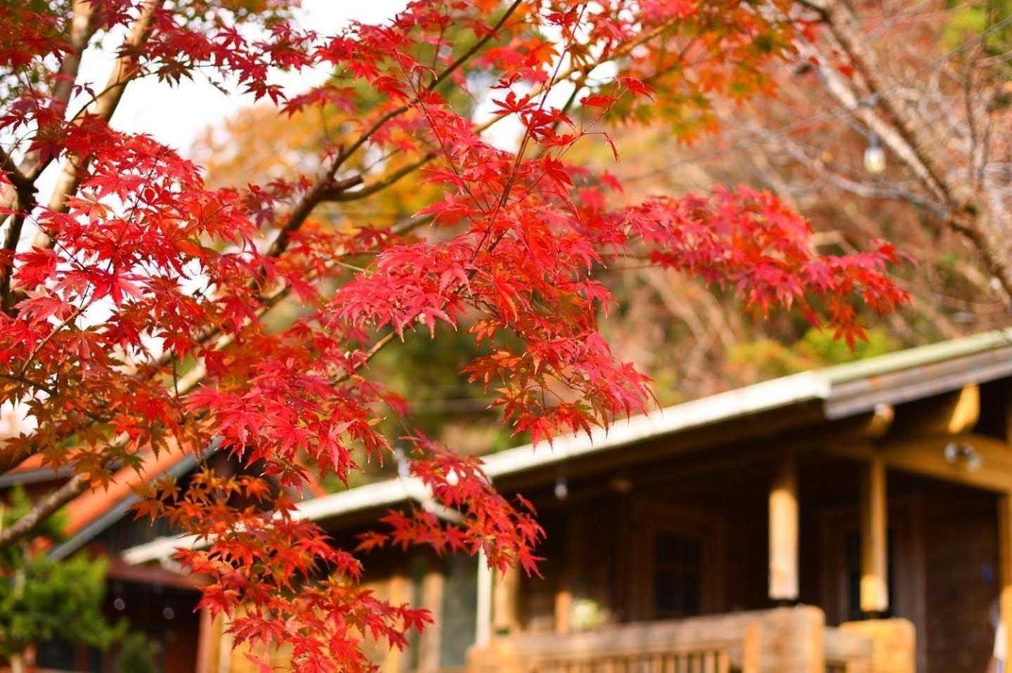 Sunny Side Cottage Shimoda  Luaran gambar