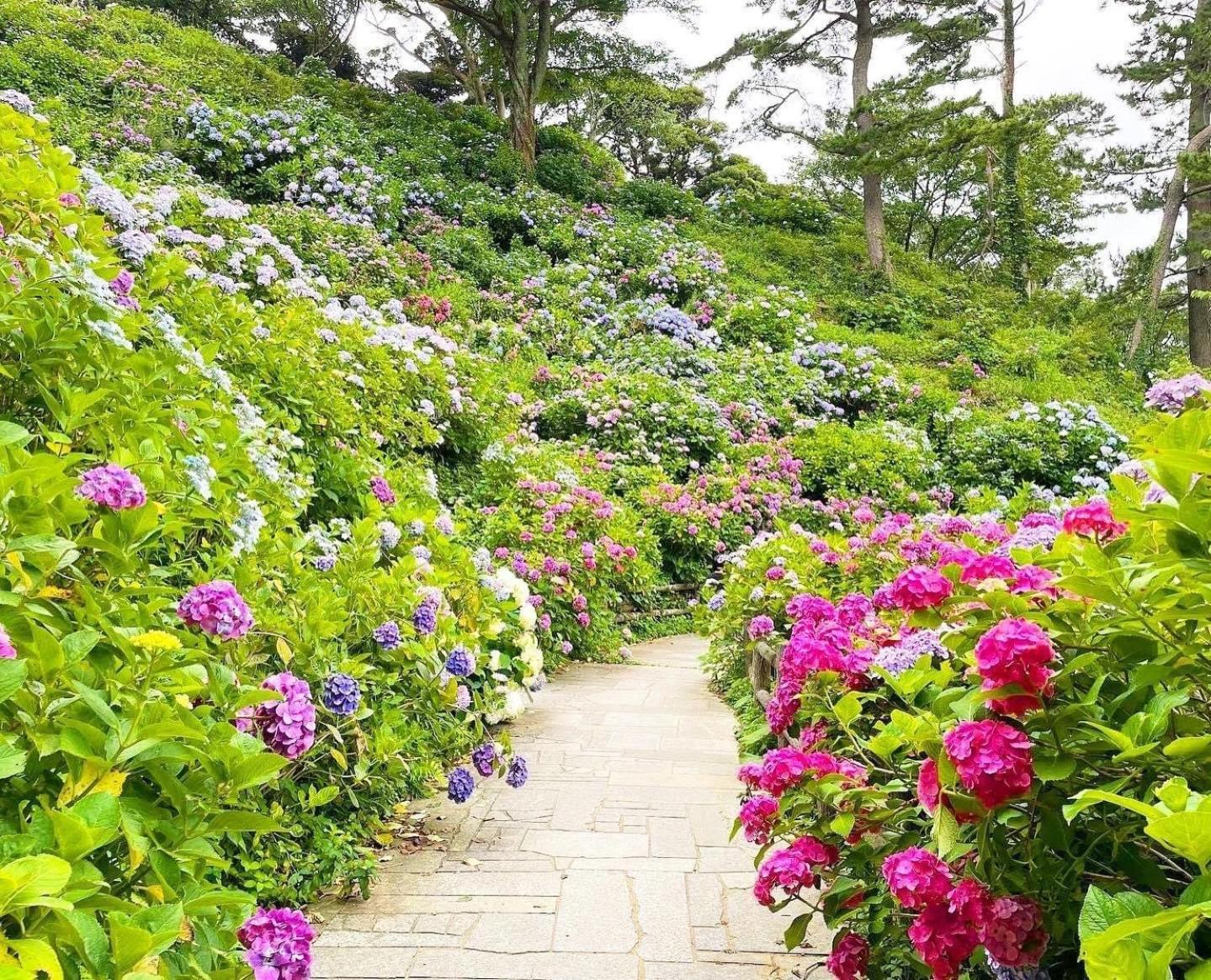 Sunny Side Cottage Shimoda  Luaran gambar